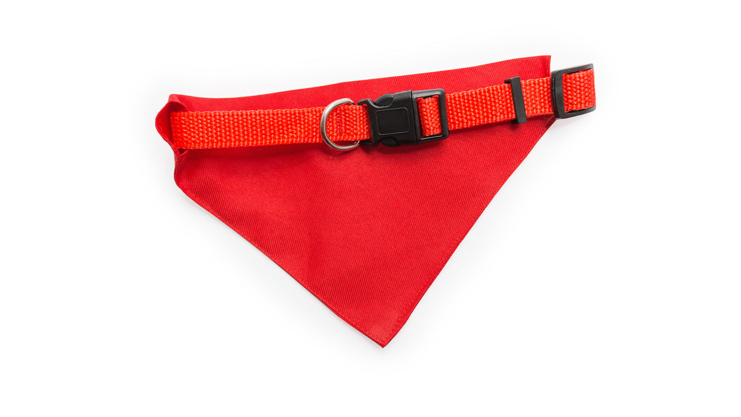 COLLAR BANDANA ROCO