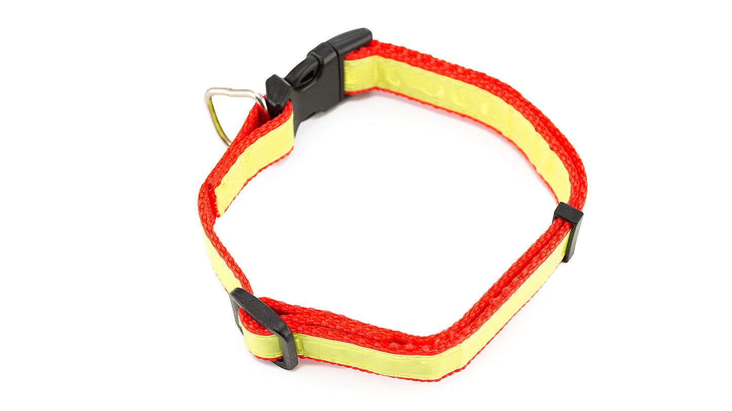 COLLAR MUTTLEY
