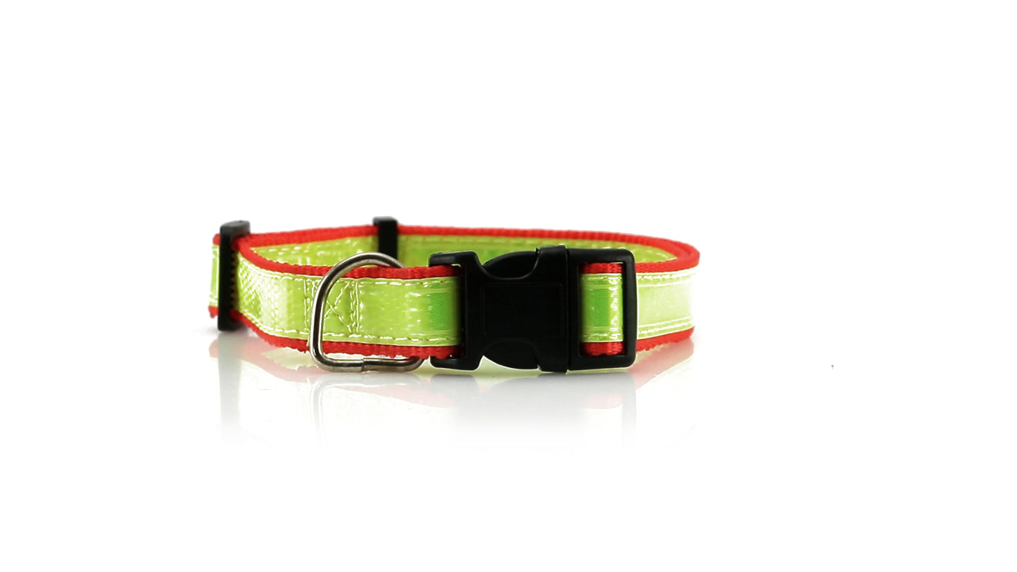 COLLAR MUTTLEY