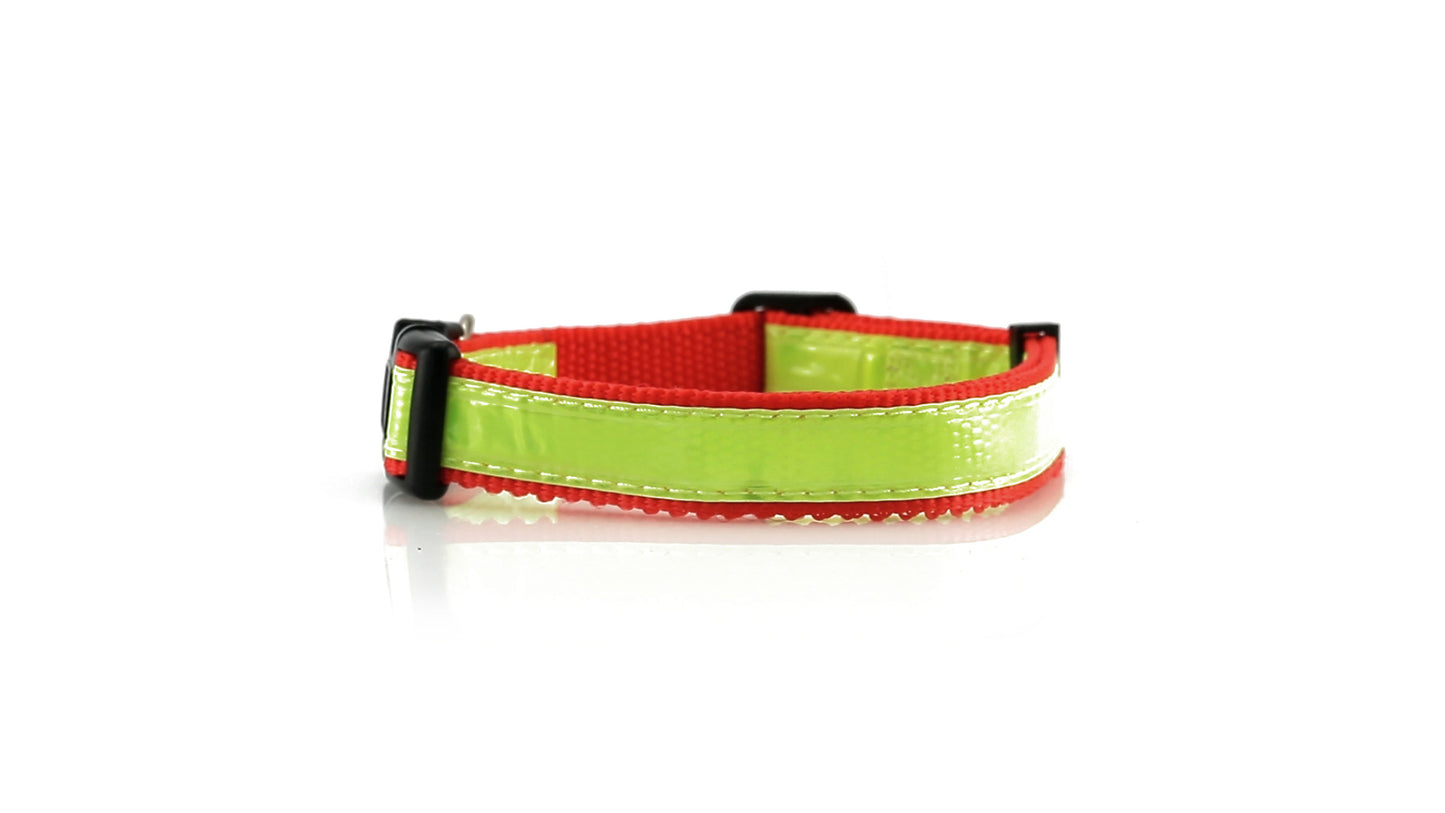COLLAR MUTTLEY