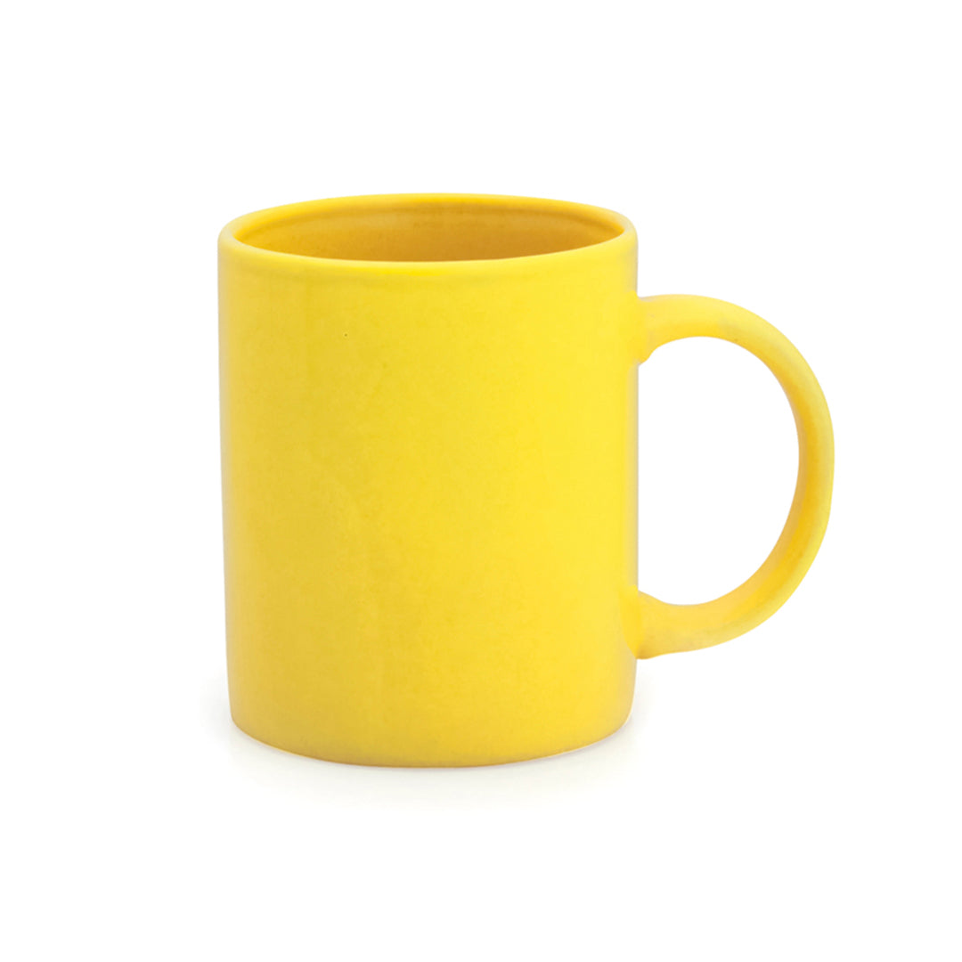 TAZA ZIFOR