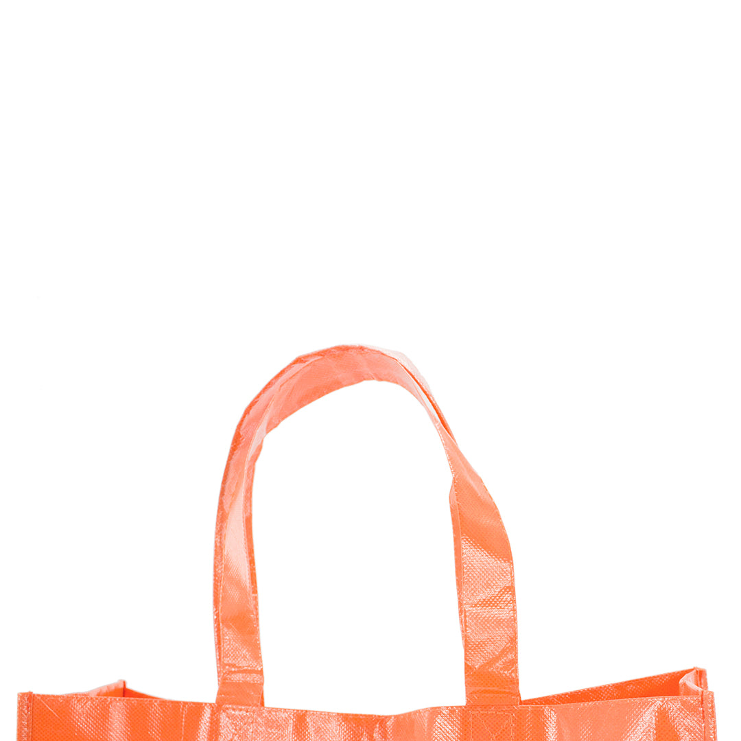 BOLSA DIVIA