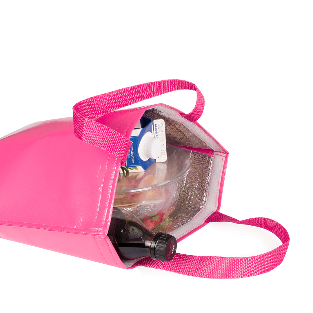 BOLSA NEVERA HOBART