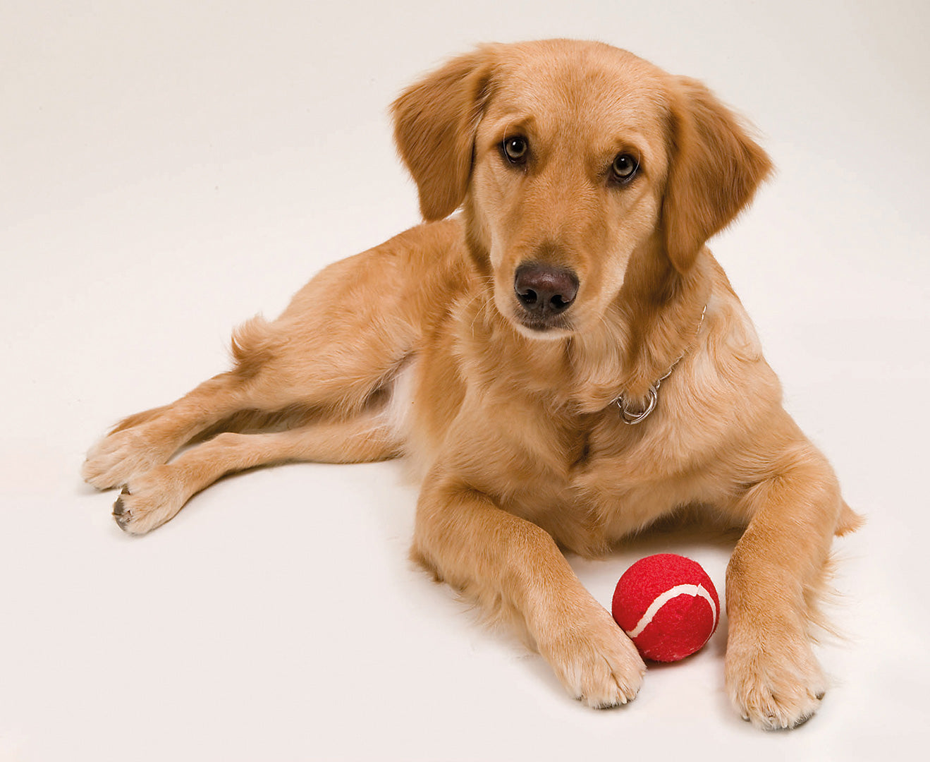 PELOTA NIKI