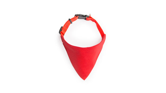 COLLAR BANDANA ROCO