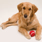 PELOTA NIKI