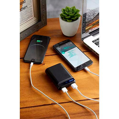 POWER BANK NIPET